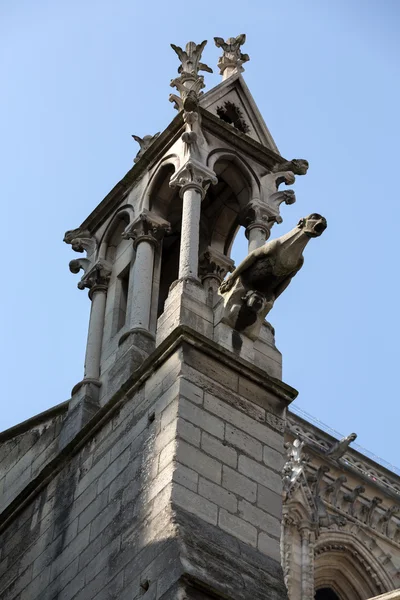 Paris - The gargoyles on the north side wall of the  Notre Dame Cathedral — Stock Photo, Image