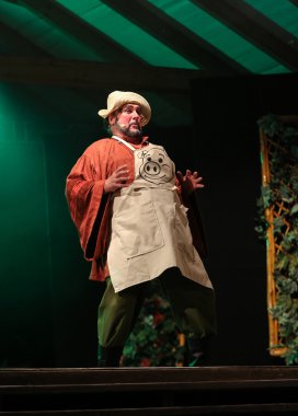 Johann Strauss Çingene Baron operet.