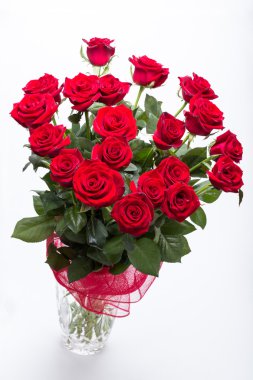 Çiçek açan koyu kırmızı güller.