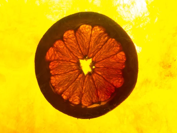 Detailní záběr kousek grapefruitu ve vodě — Stock fotografie