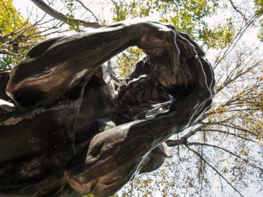 Heykel Paris Rodin Müzesi'nde