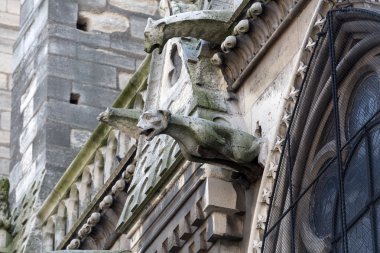 Paris - Notre Dame Katedrali Kuzey yan duvarında gargoyles