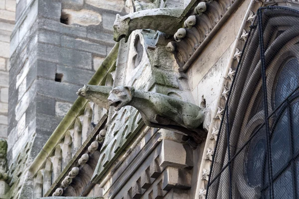 París - Las gárgolas en la pared norte de la Catedral de Notre Dame —  Fotos de Stock