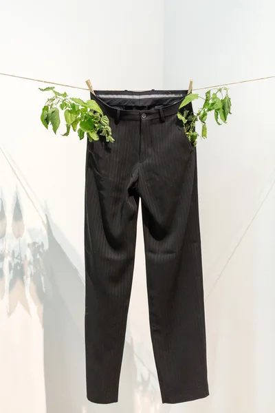 洗过的挂裤子-清洁生态上的时尚 — 图库照片