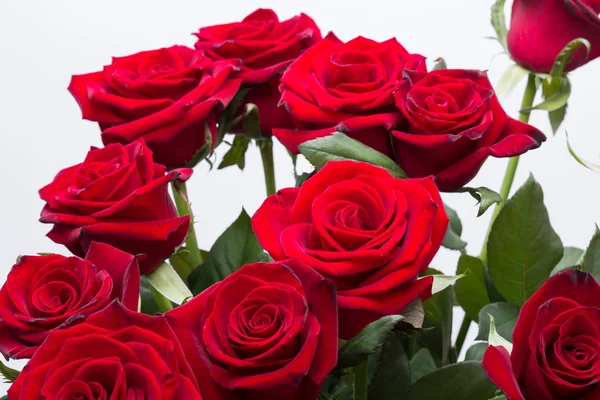 Bouquet of blossoming dark red roses — Stock Photo, Image