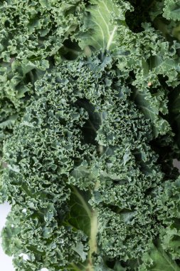 Sağlıklı taze kıvırcık lahana