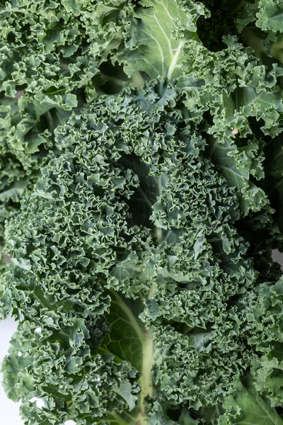 Sağlıklı taze kıvırcık lahana