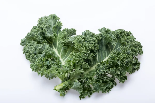 A healthy fresh curly kale — Stock Photo, Image