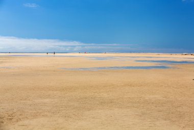 plaj playa de sotavento, Kanarya Adası fuerteventura, İspanya