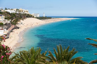 plaj playa de sotavento, Kanarya Adası fuerteventura, İspanya