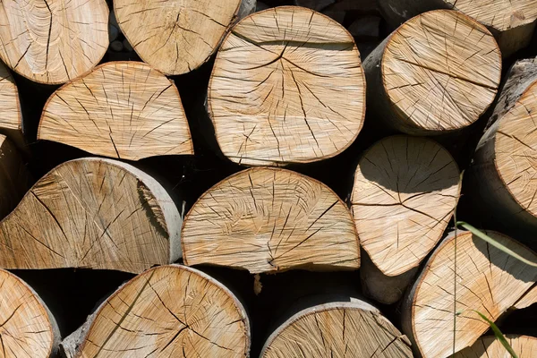 Dry chopped firewood logs in a pile — Stock Photo, Image