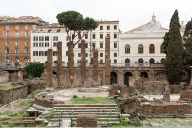 Largo di Torre Argentina Roma, İtalya, arkeolojik alanına