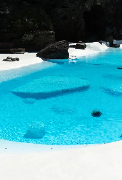 Zwembad in de Jameos del Agua. Lanzarote. — Stockfoto