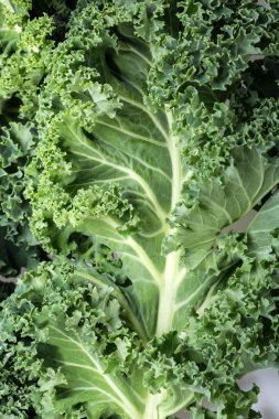 Sağlıklı taze kıvırcık lahana