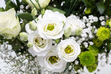 Tadeusz Kantor hakkında-yeni bir biyografik film için silah ressam, yönetmen, tiyatro Cricot2 yaratıcıları. Krakov, Polonya