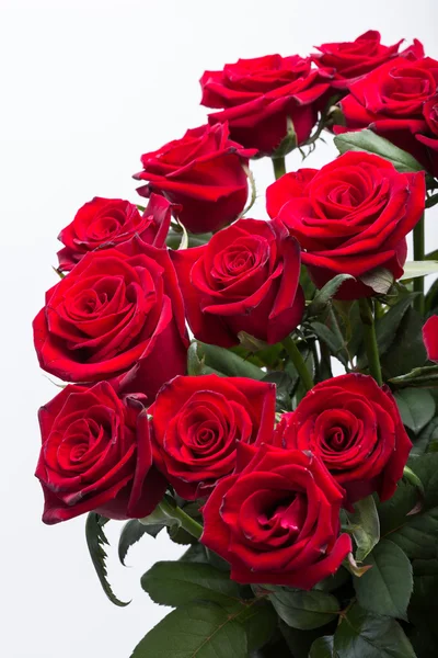 Bukett blommande mörkröda rosor — Stockfoto