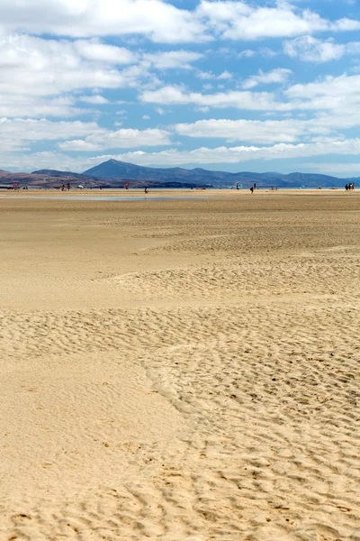 Παραλία playa de sotavento, καναρίνι νησί Φουερτεβεντούρα, Ισπανία — Φωτογραφία Αρχείου