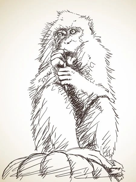 Mono royendo un palo — Archivo Imágenes Vectoriales