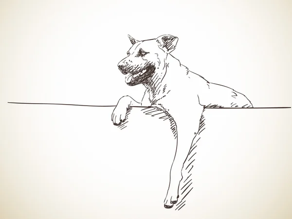 Ескіз собаки на білій стіні — стоковий вектор