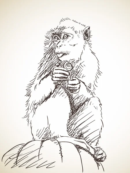 Mono royendo un caramelo — Archivo Imágenes Vectoriales