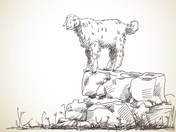 Handgezeichnete Skizze der Ziege — Stockvektor