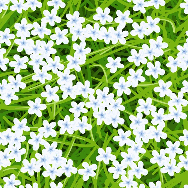 White flowers on green grass — Stock Vector