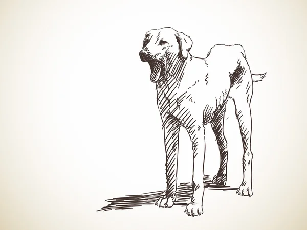 Sketch of dog yawning — Stock Vector
