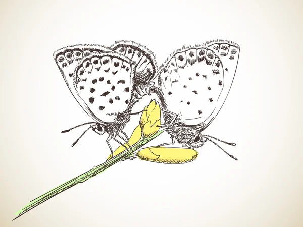 Mariposas pareja en amarillo flor — Archivo Imágenes Vectoriales