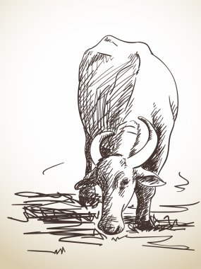 Buffalo otlatma kroki