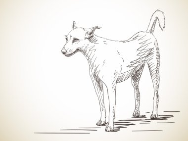 Köpek ayakta taslağını