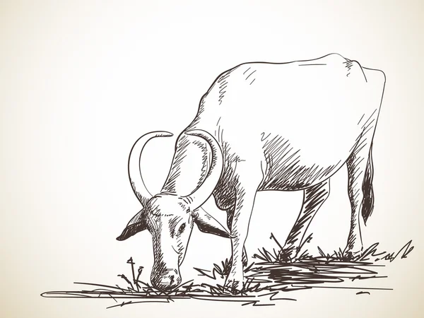 Schets van de begrazing van buffalo — Stockvector