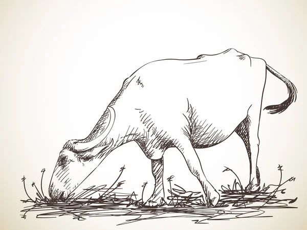 Schets van de begrazing van buffalo — Stockvector