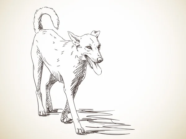 Bosquejo de perro caminando — Archivo Imágenes Vectoriales