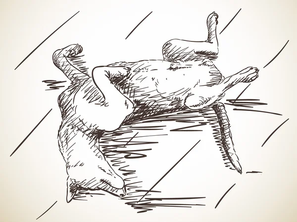 Schizzo di cane sdraiato sulla schiena — Vettoriale Stock