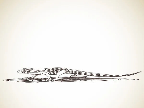 Skiss av monitor lizard — Stock vektor