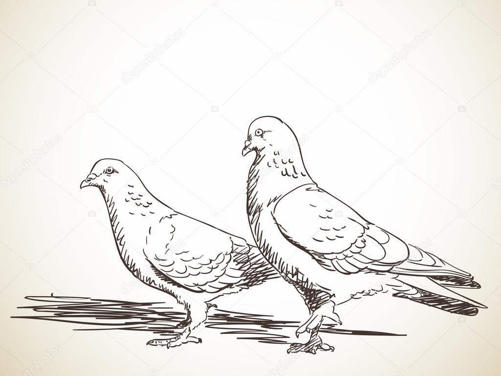 Pigeons – Sunnyfae