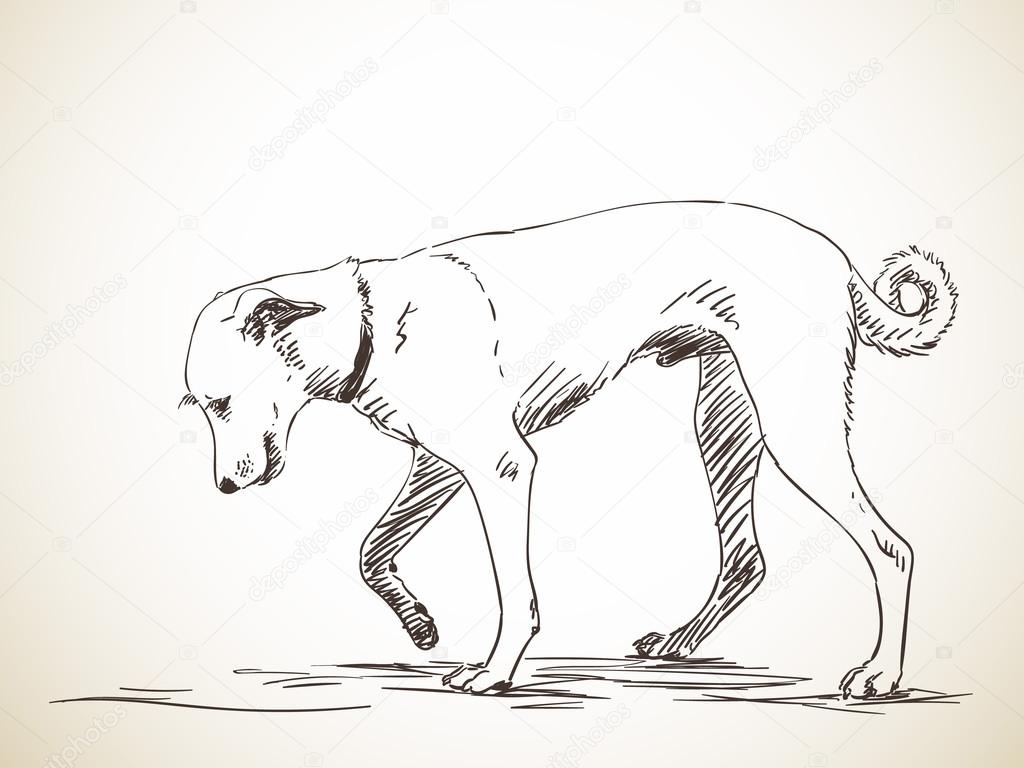 Sketch of dog walking — Stock Vector © OlgaTropinina 111537482