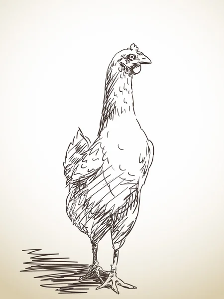 Handgezeichnetes Huhn — Stockvektor