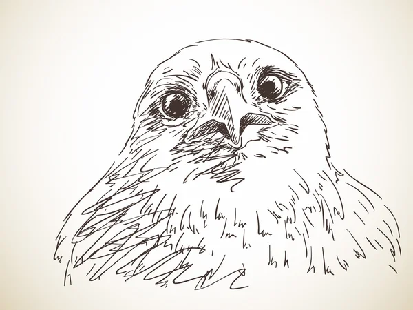 鹰的手画的肖像 — 图库矢量图片