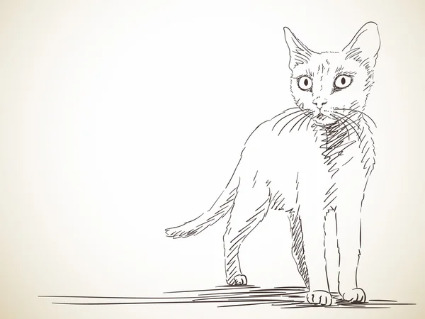 Handgezeichnete Katze — Stockvektor