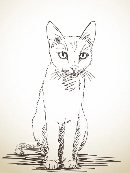 Ручная кошка — стоковый вектор