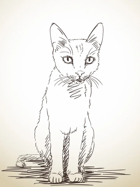 Chat dessiné à la main — Image vectorielle