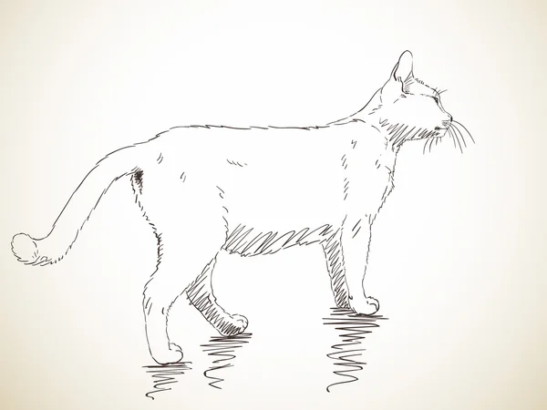 Gato dibujado a mano — Archivo Imágenes Vectoriales