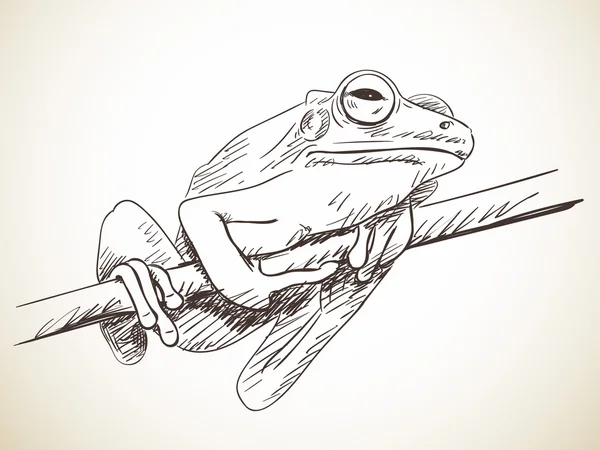 Ruky nakreslené žába — Stockový vektor
