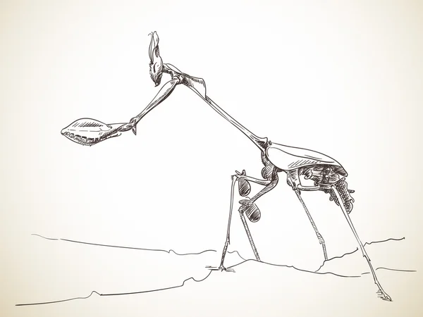 Mantis dibujada a mano — Archivo Imágenes Vectoriales