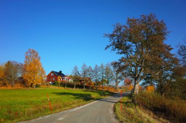 Ivarbyn, İsveç - 15 Ekim 2018: İsveç 'te sonbahar, yol, büyük ağaç, yeşil alan ve geleneksel kırmızı ahşap İsveççe ev manzarası