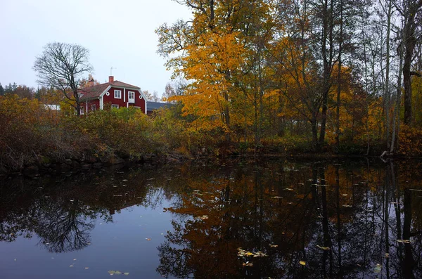 Bockhammar Schweden Oktober 2018 Traditionelles Schwedisches Holzhaus Herbstlichen Wald Der — Stockfoto