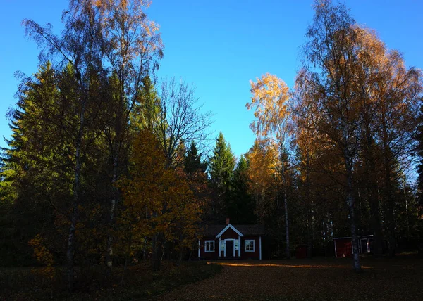 Fagersta Svédország Október 2018 Lindbostugan Free Shelter Hut Forest Bruksleden — Stock Fotó