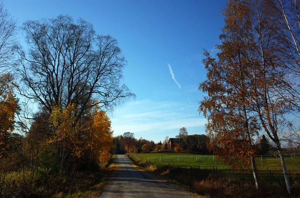 Ivarbyn Sweden October 2018 Autumn Sweden Countryside Landscape Road Big — Stock Photo, Image