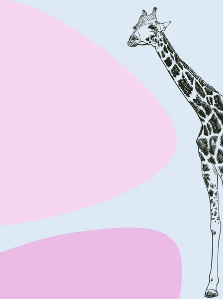 Minimalistisk Banner Med Giraff Skiss Och Abstrakta Strömlinjeformade Former Hand — Stock vektor